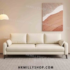 A9011 北歐梳化 客廳小戶型臥室客廳雙人小型公寓美容院出租房梳化