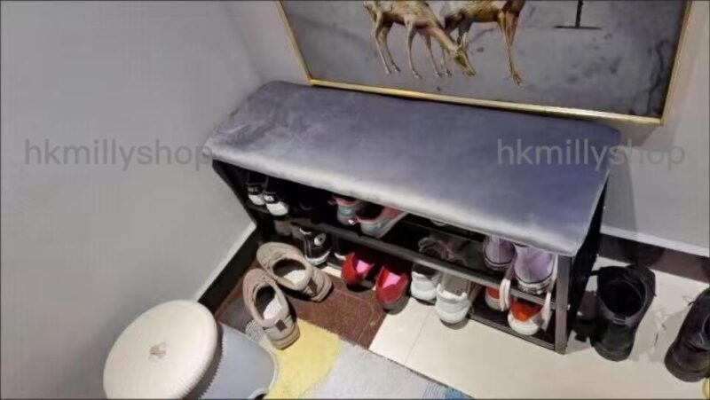 A&1046簡易換鞋凳 鞋櫃 鞋架 置物架 儲物長凳 床尾收納凳 - Image 7